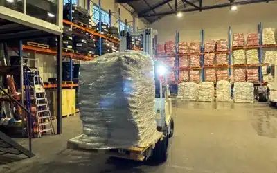 Wood, sesame and leather: Paraguayan products with potential in the Chinese market