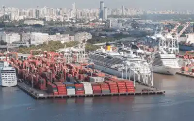 Exportaciones argentinas entre mercados globales y dificultades locales